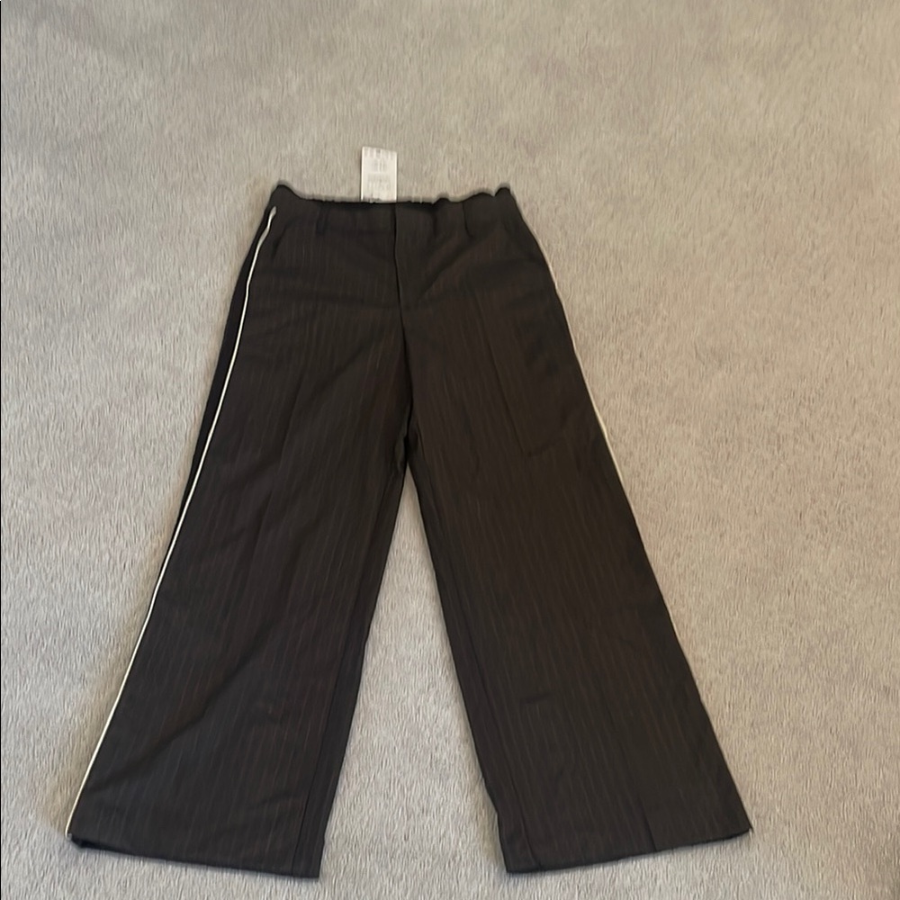 Brand new zara pants
